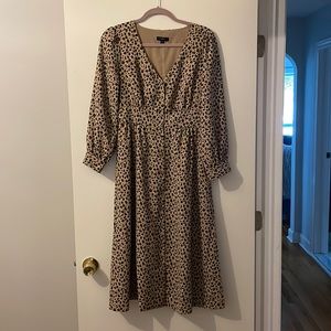 J. Crew Cheetah Button Down Dress